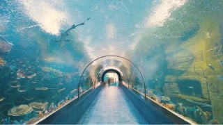 Tünel Akvaryum turistlerin gözdesi oldu