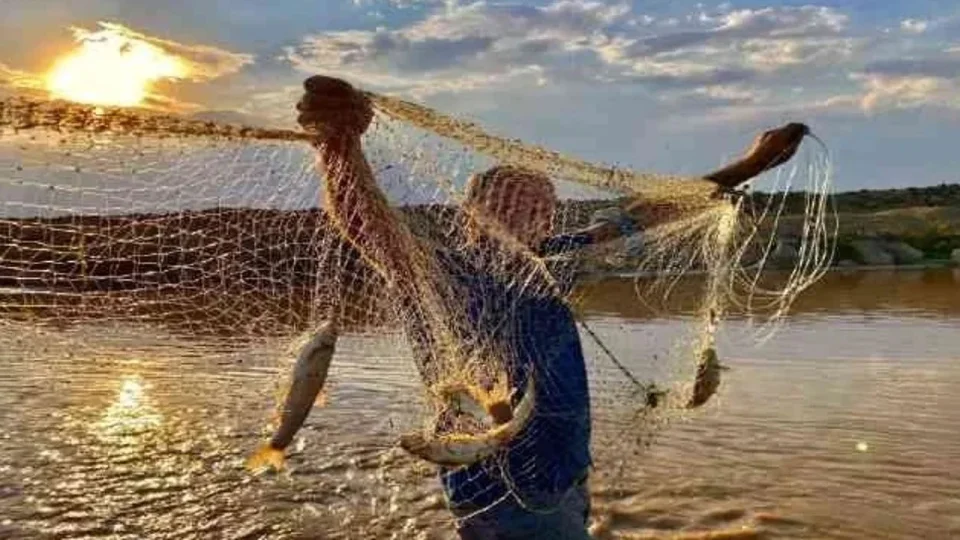 Türkiye'de balık av yasağı hakkında bilinmesi gerekenler