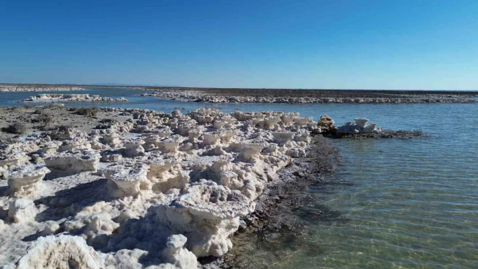 Tuz G�l�'nde sevindiren g�r�nt�