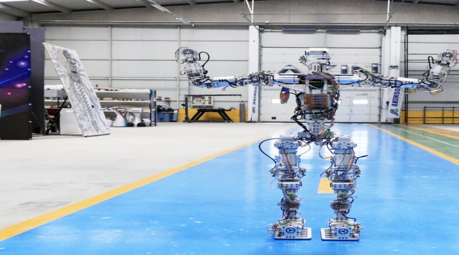 �� dil bilen insans� robot