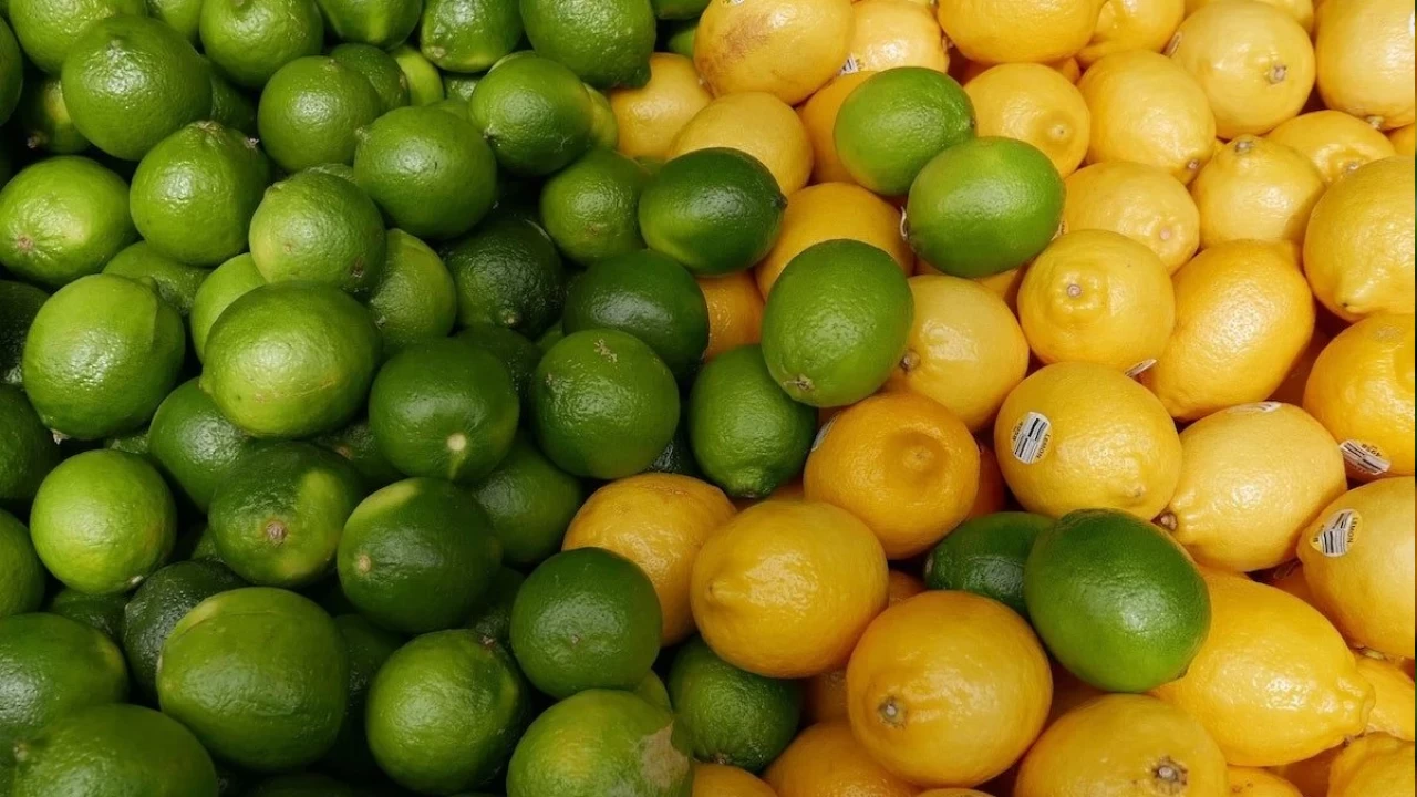Ülkemizde yetişen birçok limon çeşidi vardır