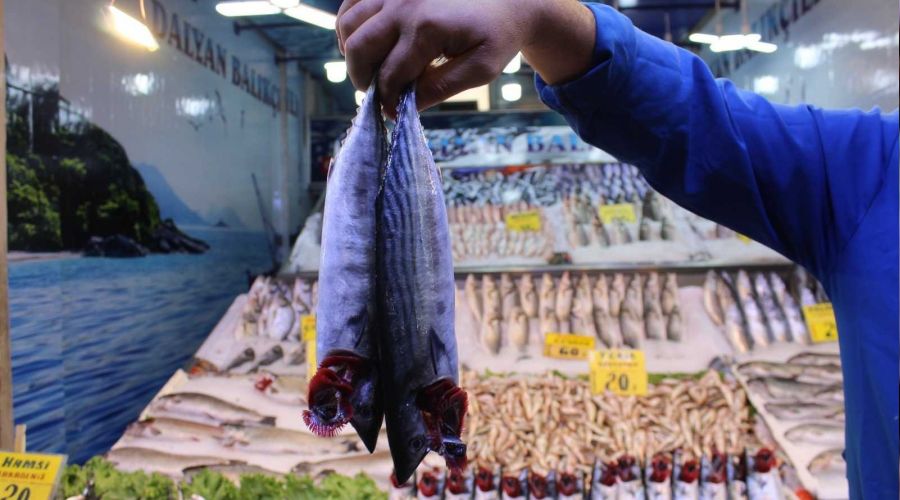 Ulus Hali Bal�k�� esnaf� meydan okudu