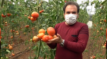 Üretici planlama yapamıyor