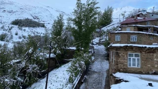Van'a mayıs ayında lapa lapa kar yağdı