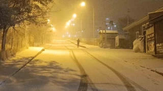Van'da yoğun kar yağışı etkili oluyor
