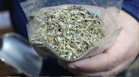 Vatandalarn baharatlarda yeni gzdesi 'da kekii'