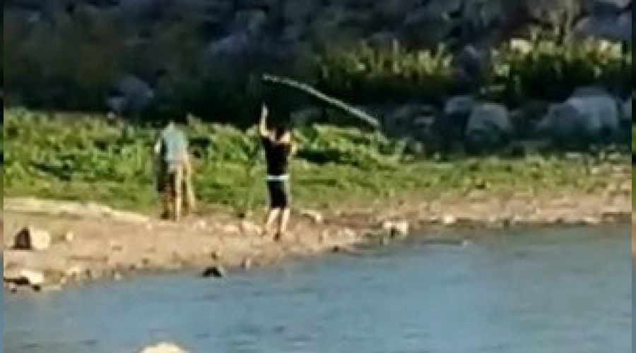 Yasağı dinlemediler, ağ ile balık tuttular