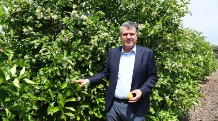 Yasak, üretici perişan olduktan sonra kalktı