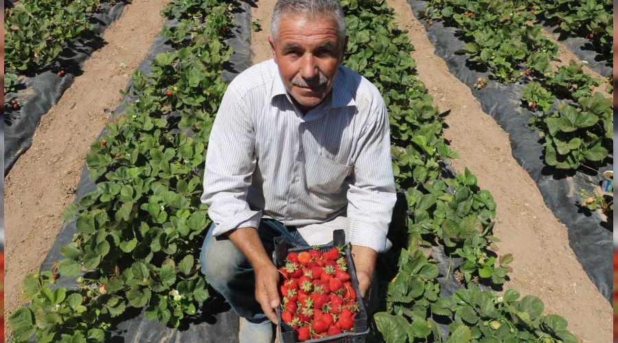 Yetiştiremezsin dediler, şimdi taleplere yetişemiyor