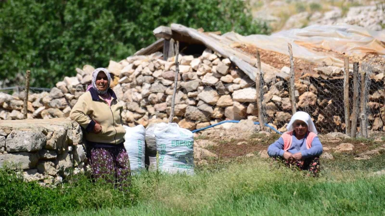 Yörüklerin yayla serüvenleri başladı