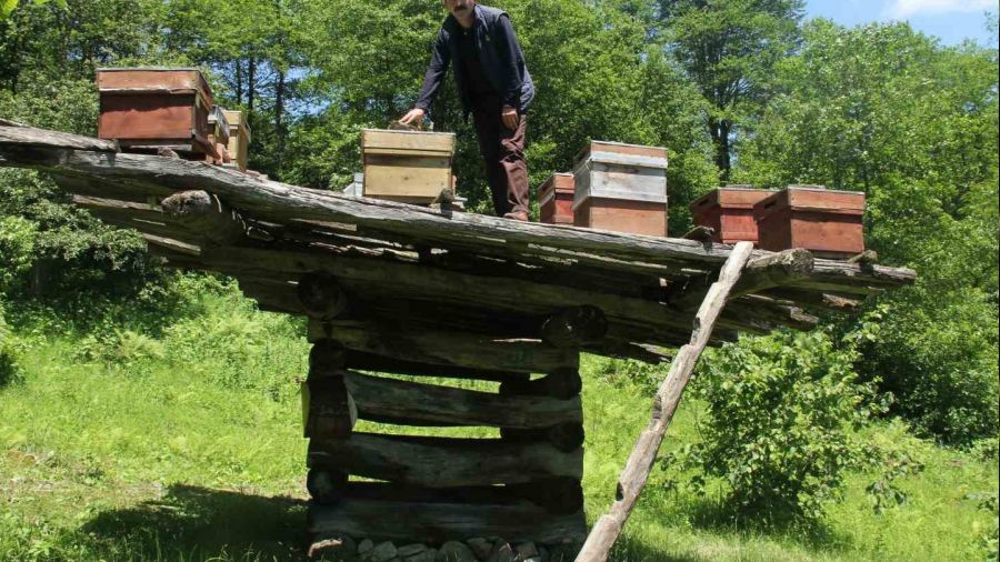 Y�zy�ll�k ar� �ardaklar� tescillendi