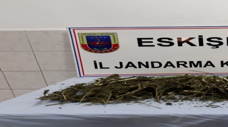 Zehir imalatçılarına jandarma darbesi
