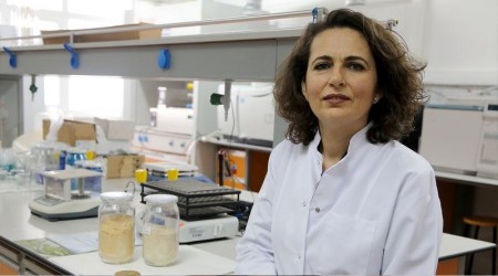 Zeytin yaprağı Covid'e iyi geliyor mu?