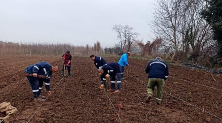 10 bin uha fide toprak ile bulutu