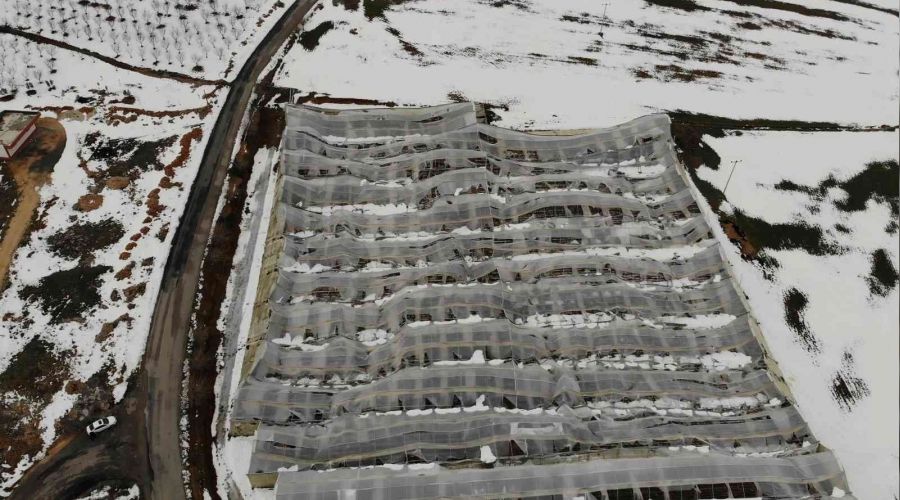 15 d�n�m sera yerle bir oldu