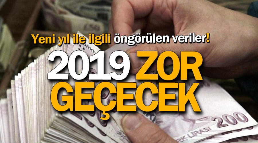 2019 zor geçecek