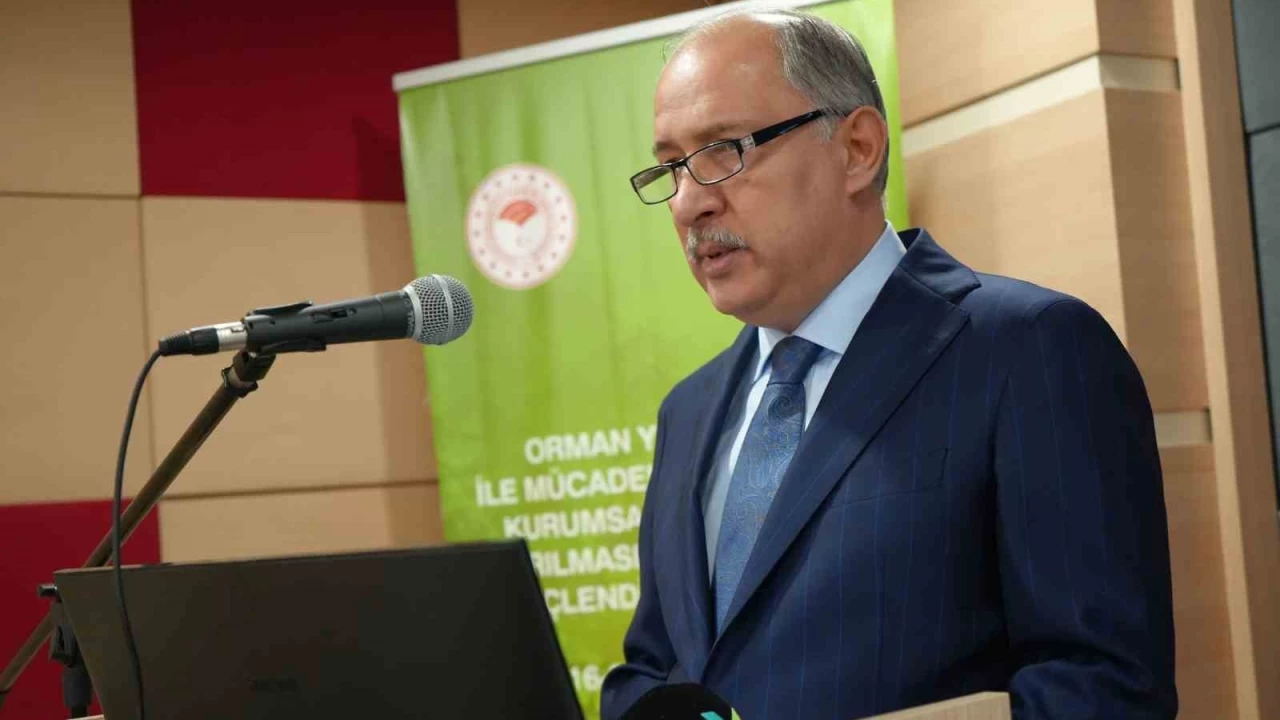 2024 ylnda yangnlarda 28 bin hektar orman zarar grd
