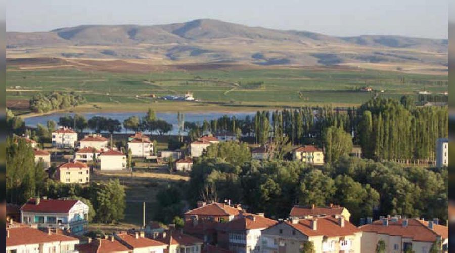 5.8 dönüm tarla 11 bin liraya satılıyor
