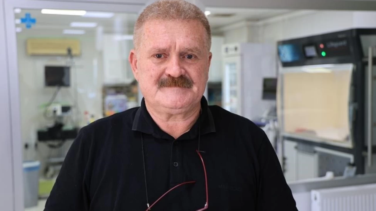 Adana sokaklar�nda yakla��k 200 bin k�pek var