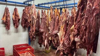 Adana'da 3 ton bozulmu at eti ele geirildi