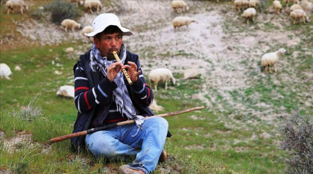 'Afgan çoban' ilanı veren şahıs gözaltına alındı