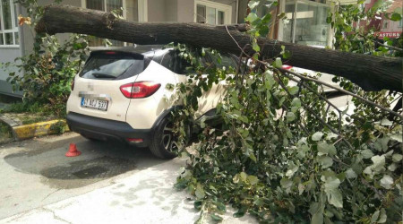 Ağaç, otomobilin üzerine düştü