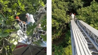 Ağaca asılı halde şahsın kimliği belirlendi