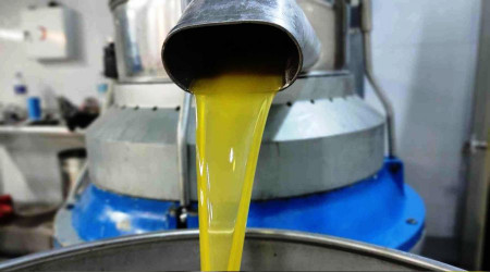 Ağaçlar soğuktan yanınca zeytin yağı fiyatları fırladı