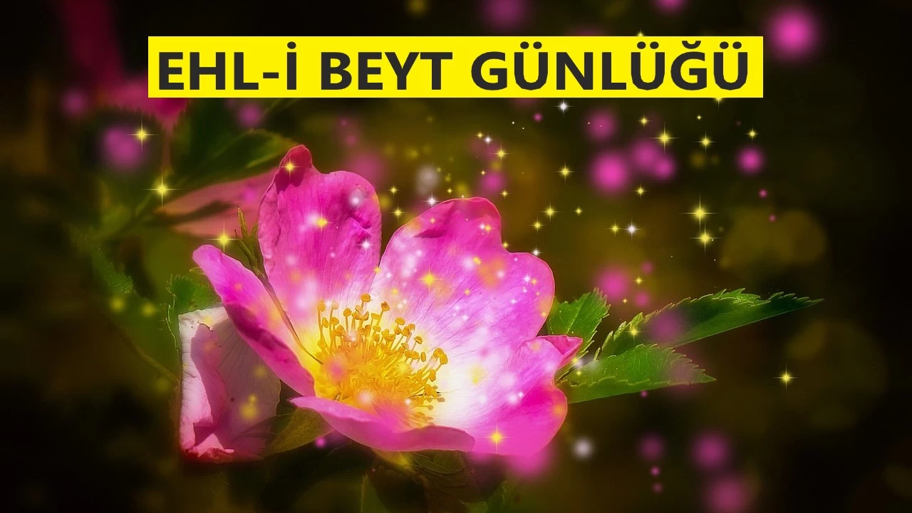 �Akl� ve akl�n askerlerini tan�y�n�