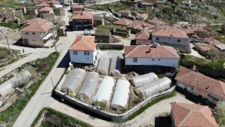 Aksaray'daki küçük Adana'da geçim seracılıktan
