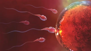 Alkol ve sigaran�n h�cresel zararlar�