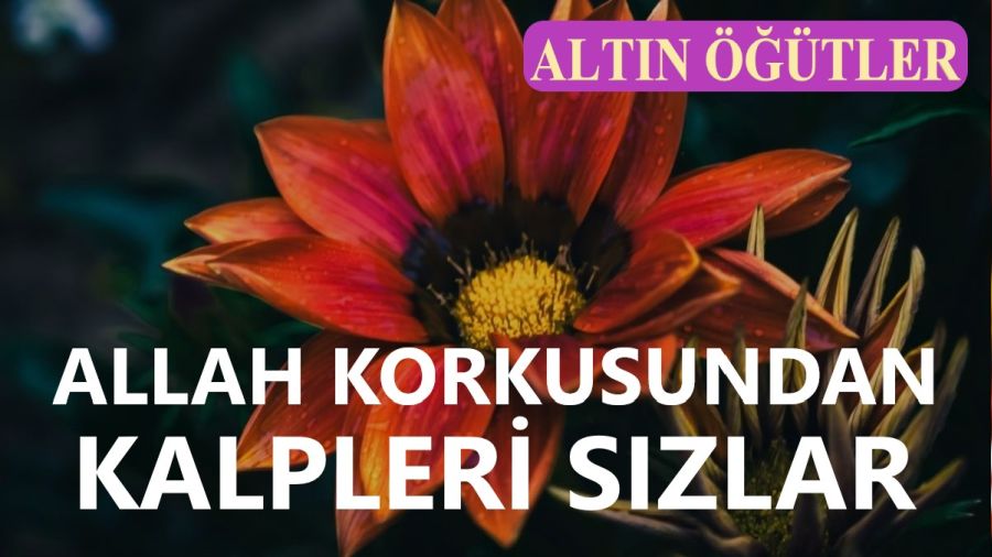 ‘Allah korkusundan kalpleri sızlar’