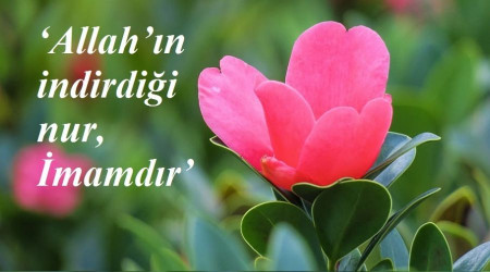 Allahn indirdii nur, mamdr