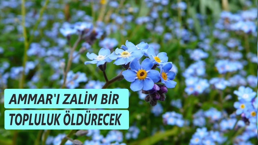 ‘Ammar’ı zalim bir topluluk öldürecek’