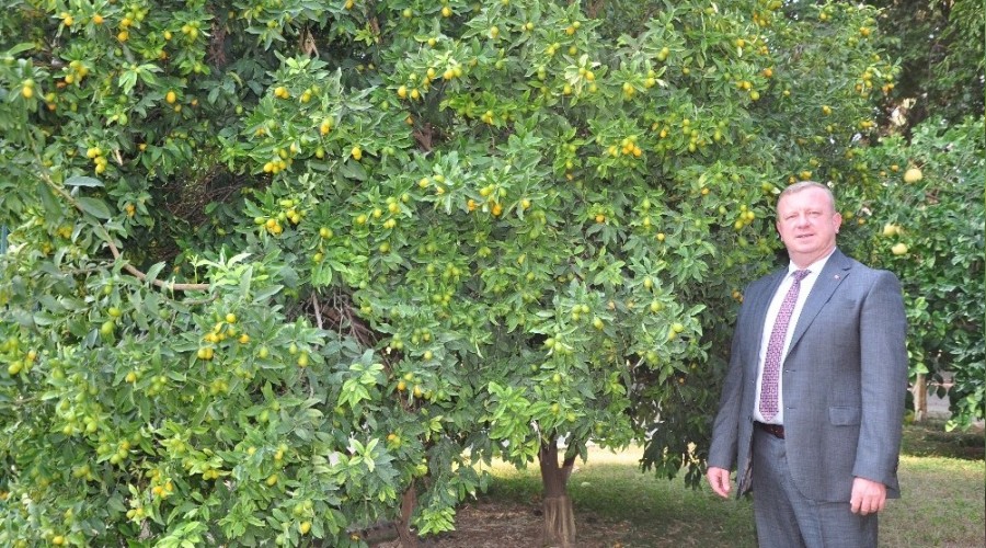 Antalya'da yerli kahve çalışmaları hız kazandı
