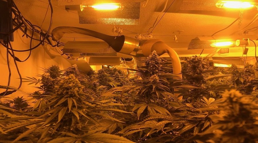 Apartman�n 6. kat�nda Hint keneviri seras�