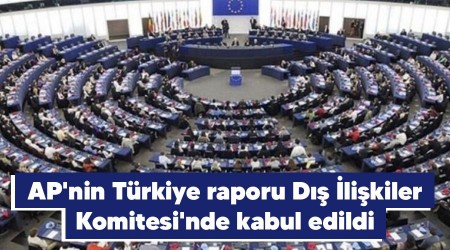 AP'nin Trkiye raporu D likiler Komitesi'nde kabul edildi