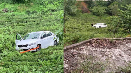 Artvin'de otomobil çay tarlasına düştü: 1 ölü, 2 yaralı
