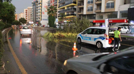 Aydın'da fırtına ortalığı birbirine kattı