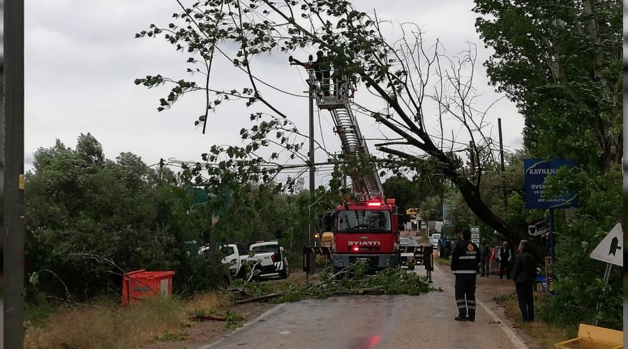 Ayvacık'ta şiddetli fırtına etkili oldu