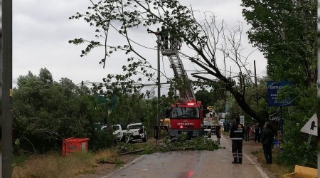 Ayvacık'ta şiddetli fırtına etkili oldu