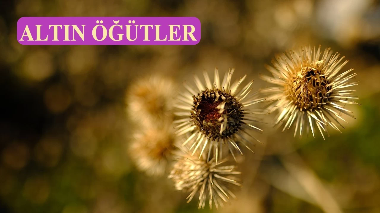 ‘Az güler çok ağlardınız’
