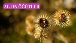 ‘Az güler çok ağlardınız’