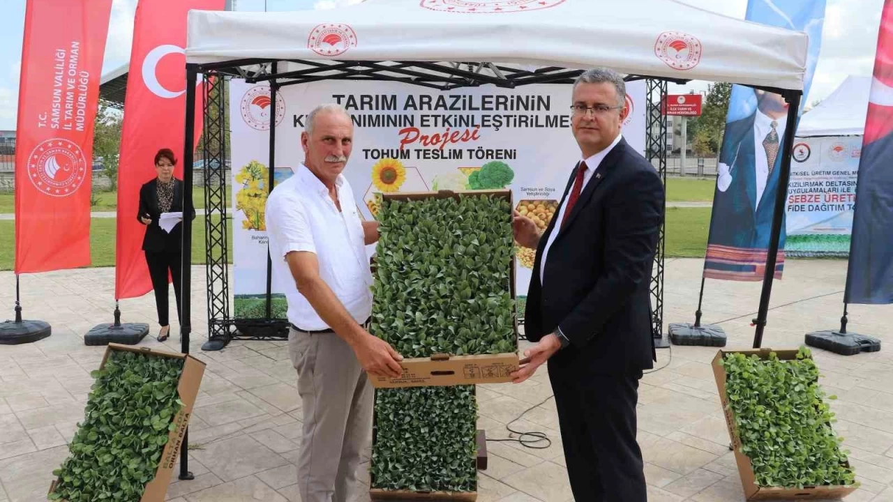 Bafra Ovas�'nda ihracata uygun sebze �retilecek