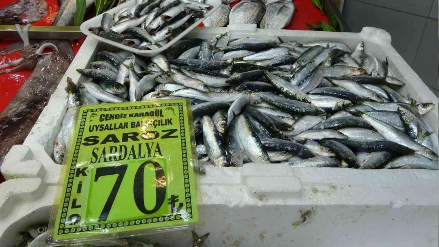 Balk tezgahlarnda fiyatlar artt