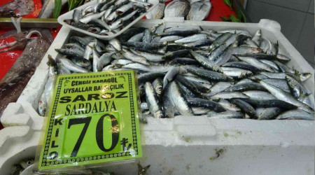 Balk tezgahlarnda fiyatlar artt