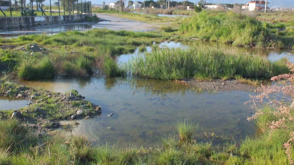 Bal�kesir'de sa�anak nedeniyle arazileri sular bast�