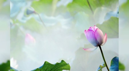 ‘Beni zikredenler, nimetlerimden istifade ederler’