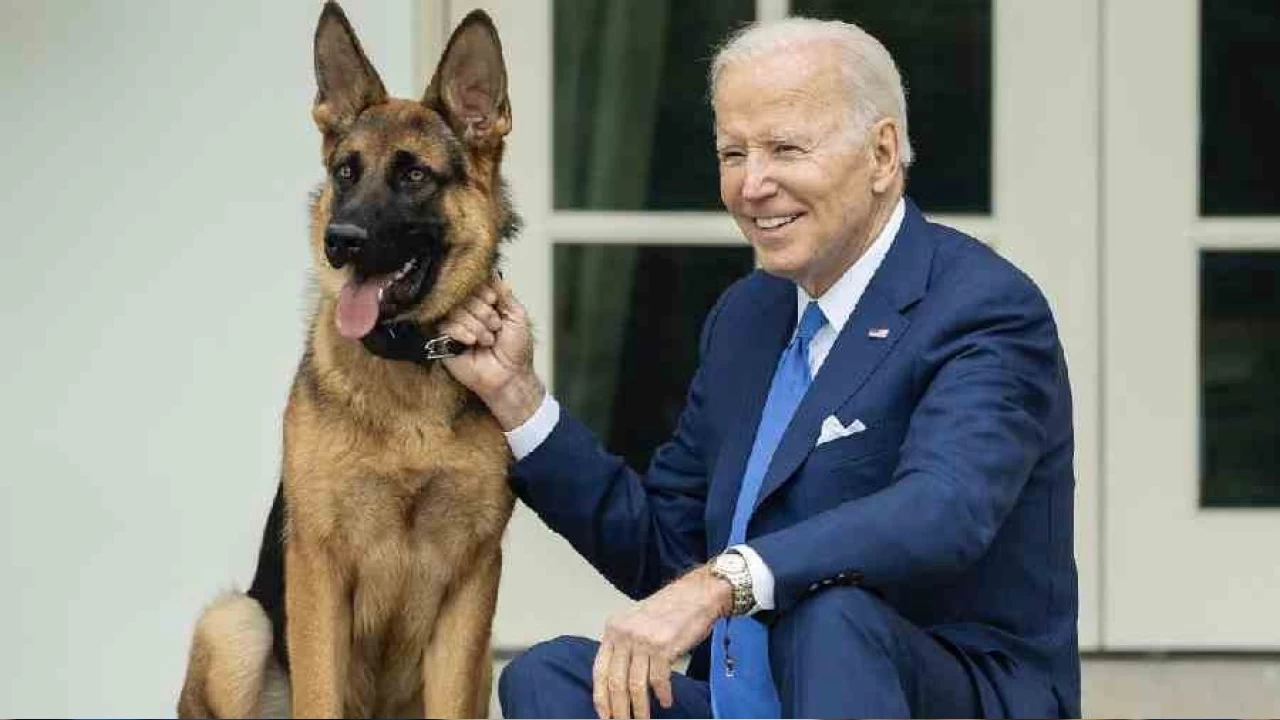 Biden'ın köpeği en az 24 Gizli Servis personelini ısırmış
