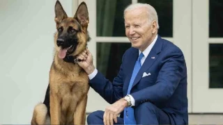 Biden'ın köpeği en az 24 Gizli Servis personelini ısırmış